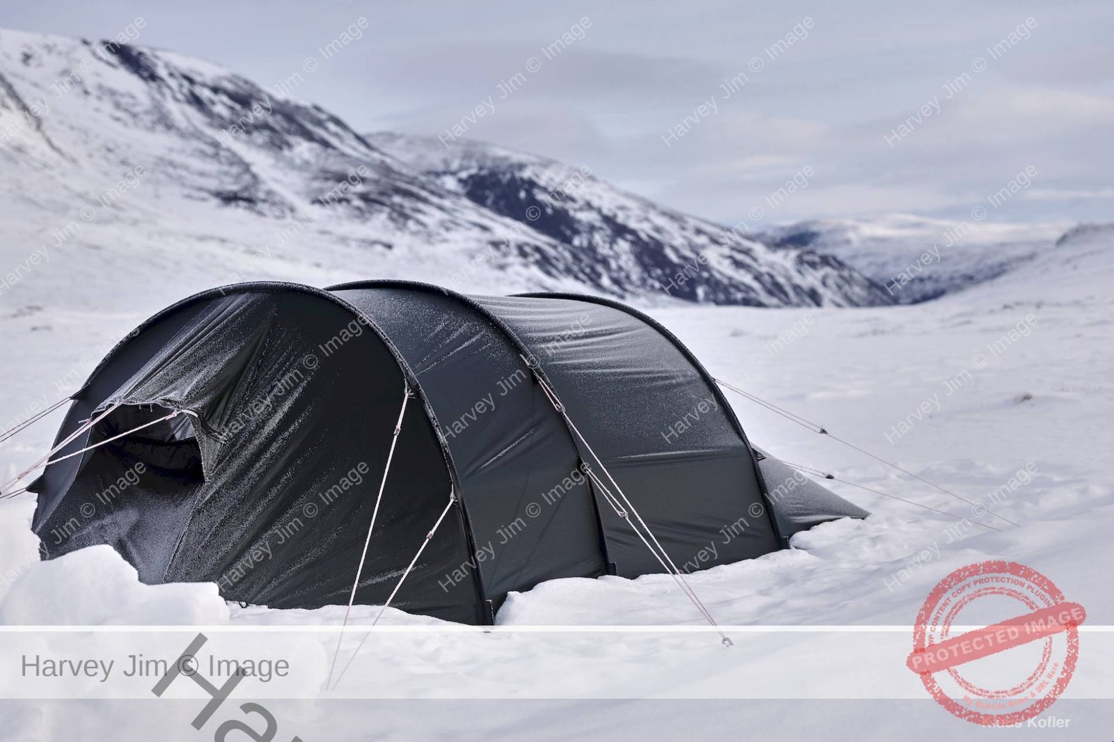 Winter Camping and Photographing the MuskOx