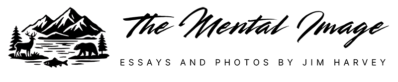 The Mental Image Logo