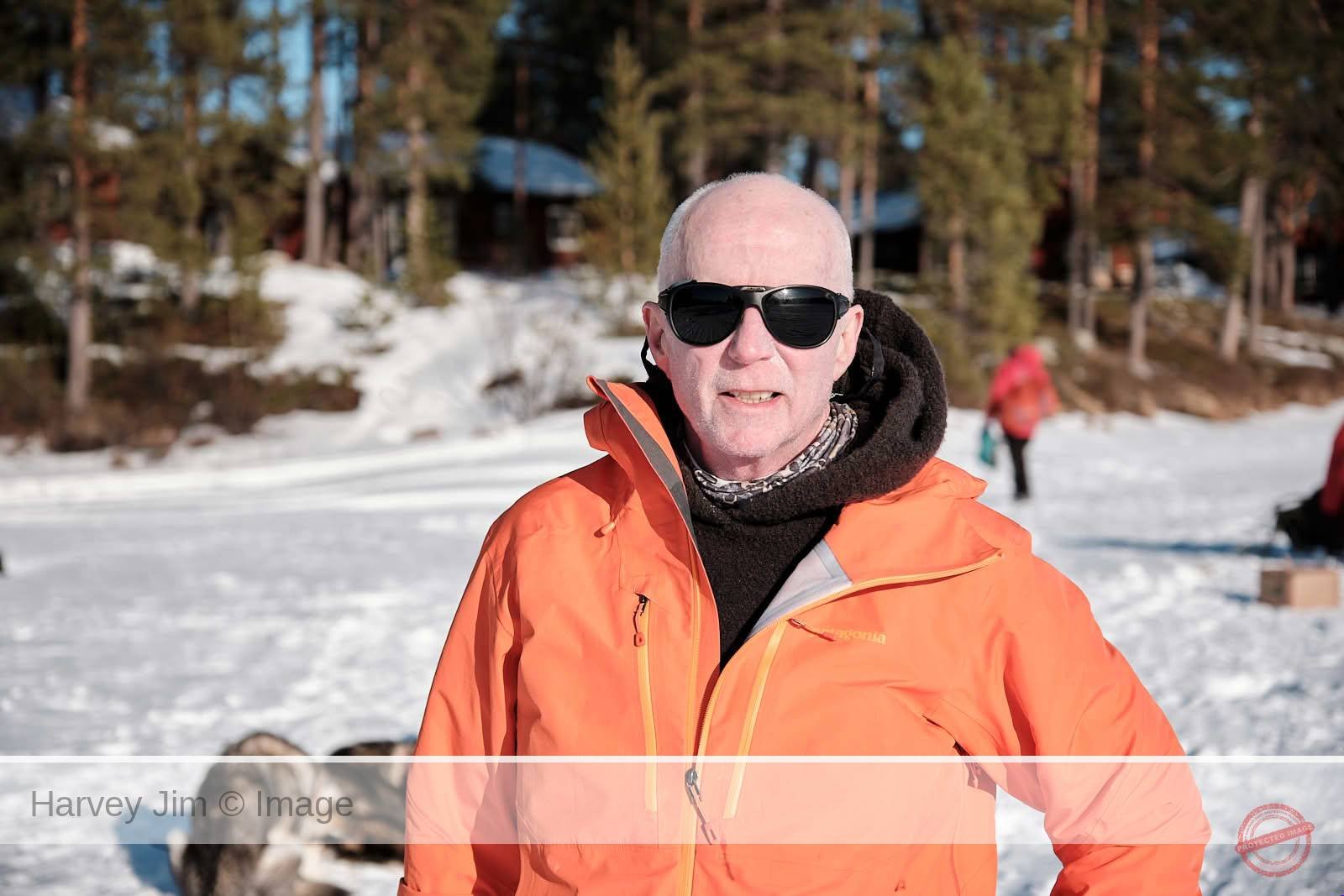 Jokkmokk Sweden Dogsledding 2025